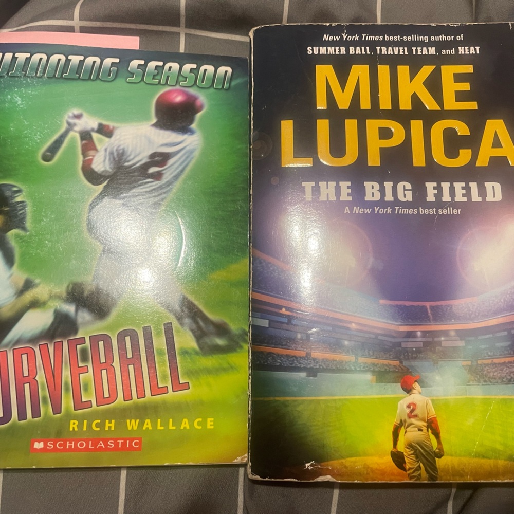 Baseball themed books